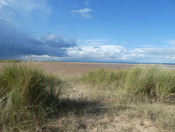 Scenic view of beach against sky