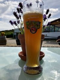 Close-up of beer glass on table