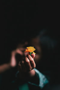 Close-up of hands holding orange flower in darkroom