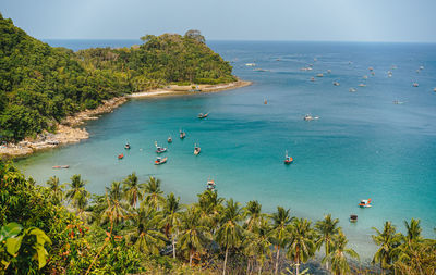 High angle view of plants on beach against sky