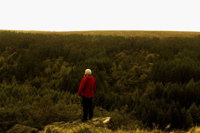 Rear view of young woman standing in forest