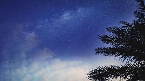 Low angle view of star field against star field