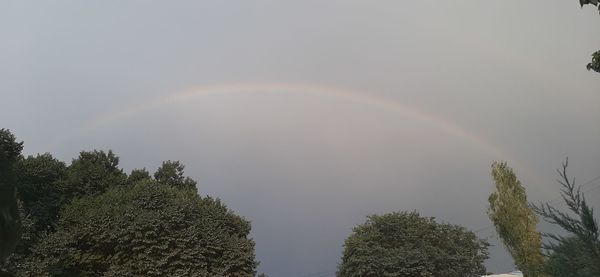 Low angle view of rainbow against sky