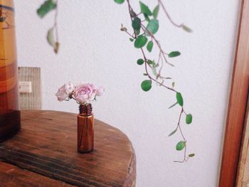 Close-up of flowers in vase