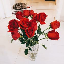 Close-up of red roses on table