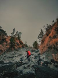 Rear view of man amidst plants against sky