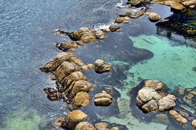 High angle view of rocks on beach