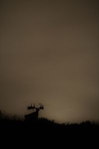 Silhouette of tree against sky at sunset