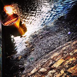 Reflection of trees in water