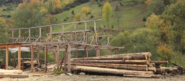 Wooden logs in forest