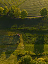 High angle view of agricultural field