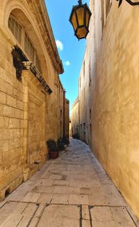 Footpath amidst buildings in city