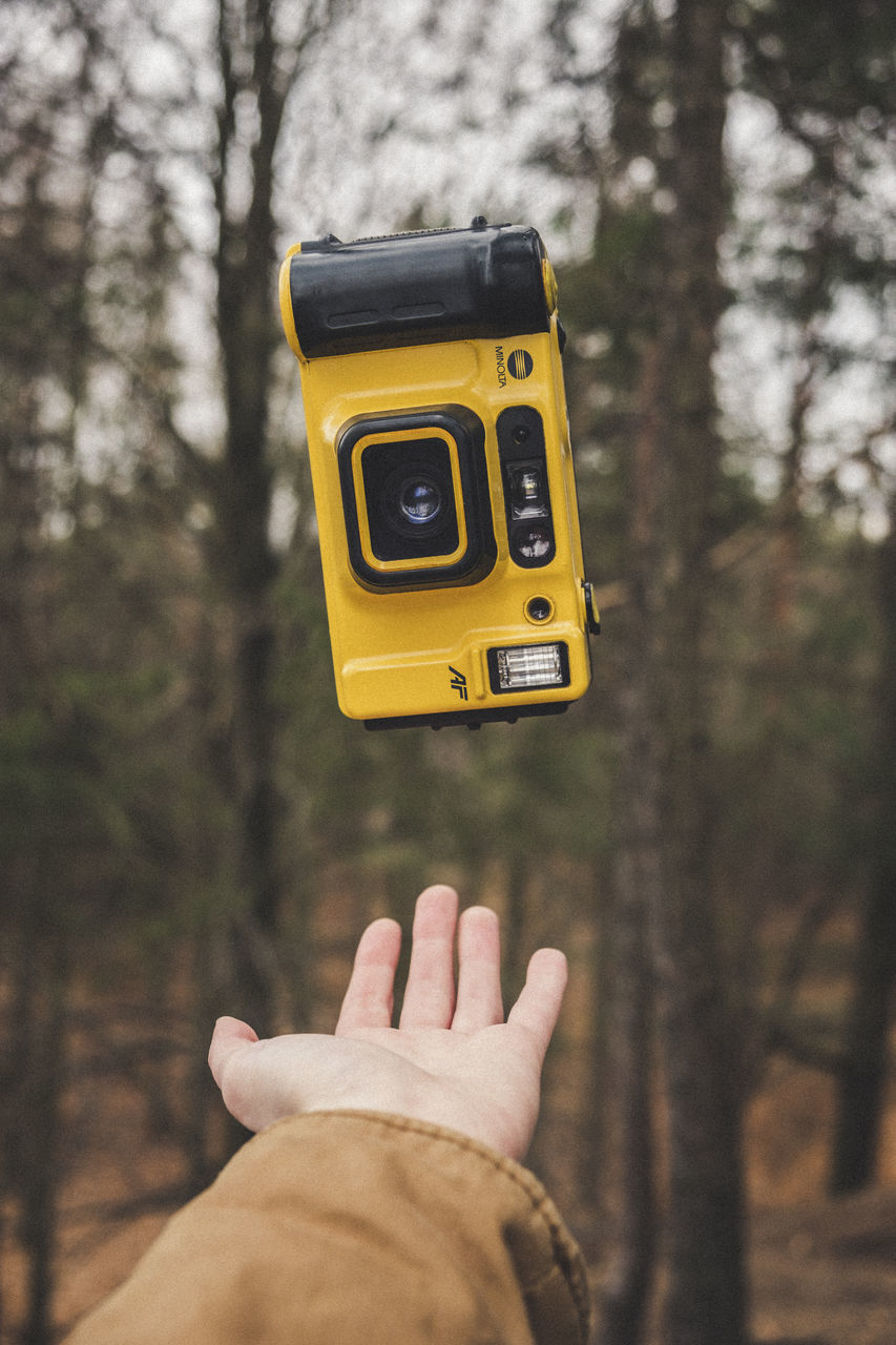 human body part, human hand, real people, hand, tree, yellow, focus on foreground, one person, body part, personal perspective, plant, day, nature, lifestyles, unrecognizable person, forest, land, outdoors, leisure activity, human finger, finger