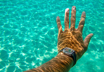 High angle view of human hand in swimming pool