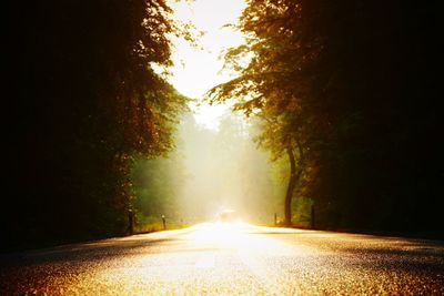 Road amidst trees against sky at night