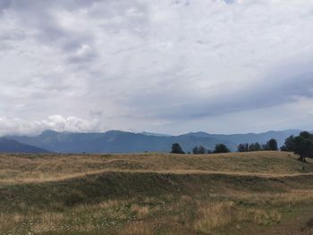 Scenic view of field against sky