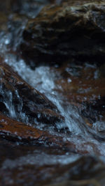 Close-up of water flowing over rocks