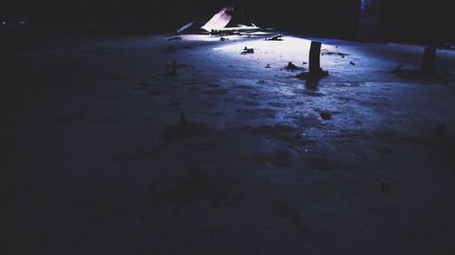 Reflection of trees in water