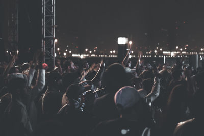 Group of people at music concert