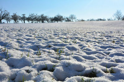 A field with lots of white snow and trees on the horizon