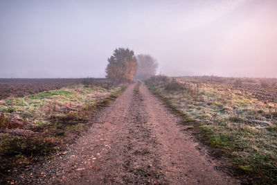 Dirt road amidst plants on field against sky