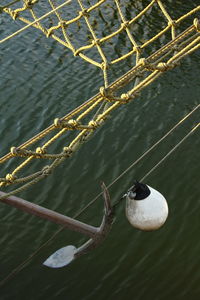 High angle view of duck floating on lake