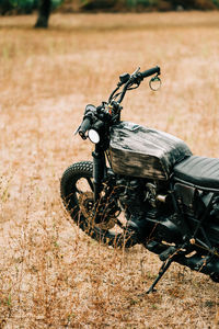 Detail of a motorbike in the countryside of italy