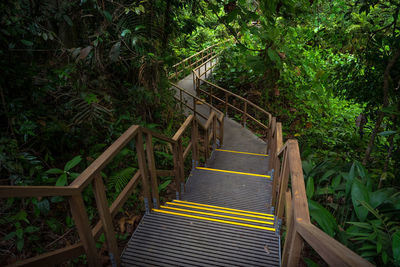 High angle view of empty staircase in forest
