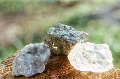 Close-up of stones on rock