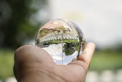 Cropped hand holding crystal ball