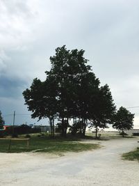 Trees on field against cloudy sky