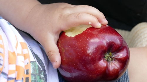 Midsection of baby holding apple