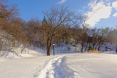 Bare trees on snow covered field against sky