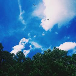 Low angle view of trees against cloudy sky