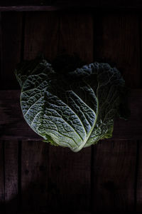 Directly above shot of leaves on table