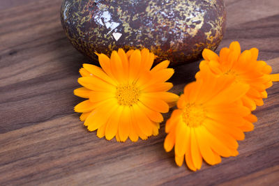 Close-up of yellow flower on table