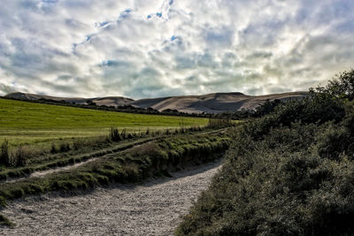 Scenic view of agricultural field against sky