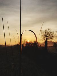 Scenic view of field against sky at sunset