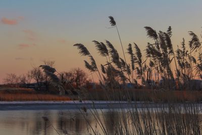 Scenic view of lake against sky at sunset