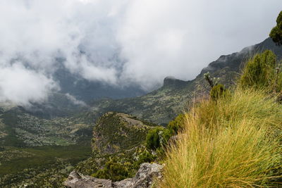 Panoramic view of landscape against sky