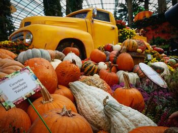 Close-up of pumpkins for sale at market