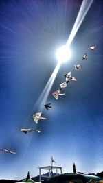 Low angle view of birds flying in sky