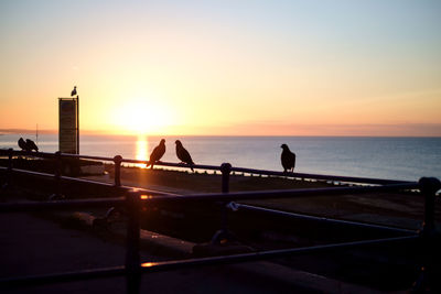 Silhouette people on sea against sky during sunset