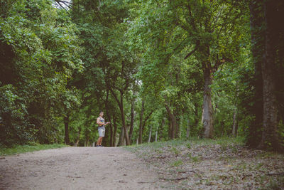 Road passing through forest