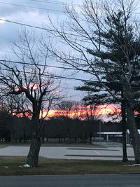 Bare trees against sky during winter