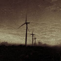 Wind turbines on field