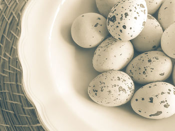 Close-up of quail eggs in bowl