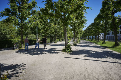 Rear view of people walking on road amidst trees