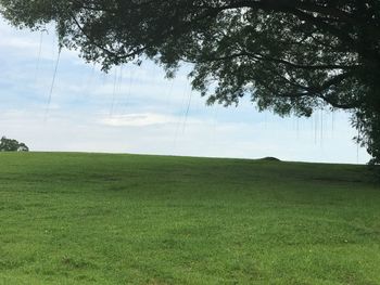 Scenic view of field against sky