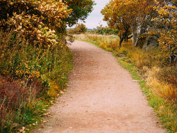 Dirt road amidst trees during autumn